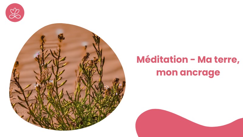 8 - Méditation - Ma terre, mon ancrage avec Christine Lepoitevin
